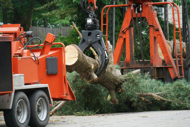 Grapple truck loading a cut tree trunk for hauling off-site